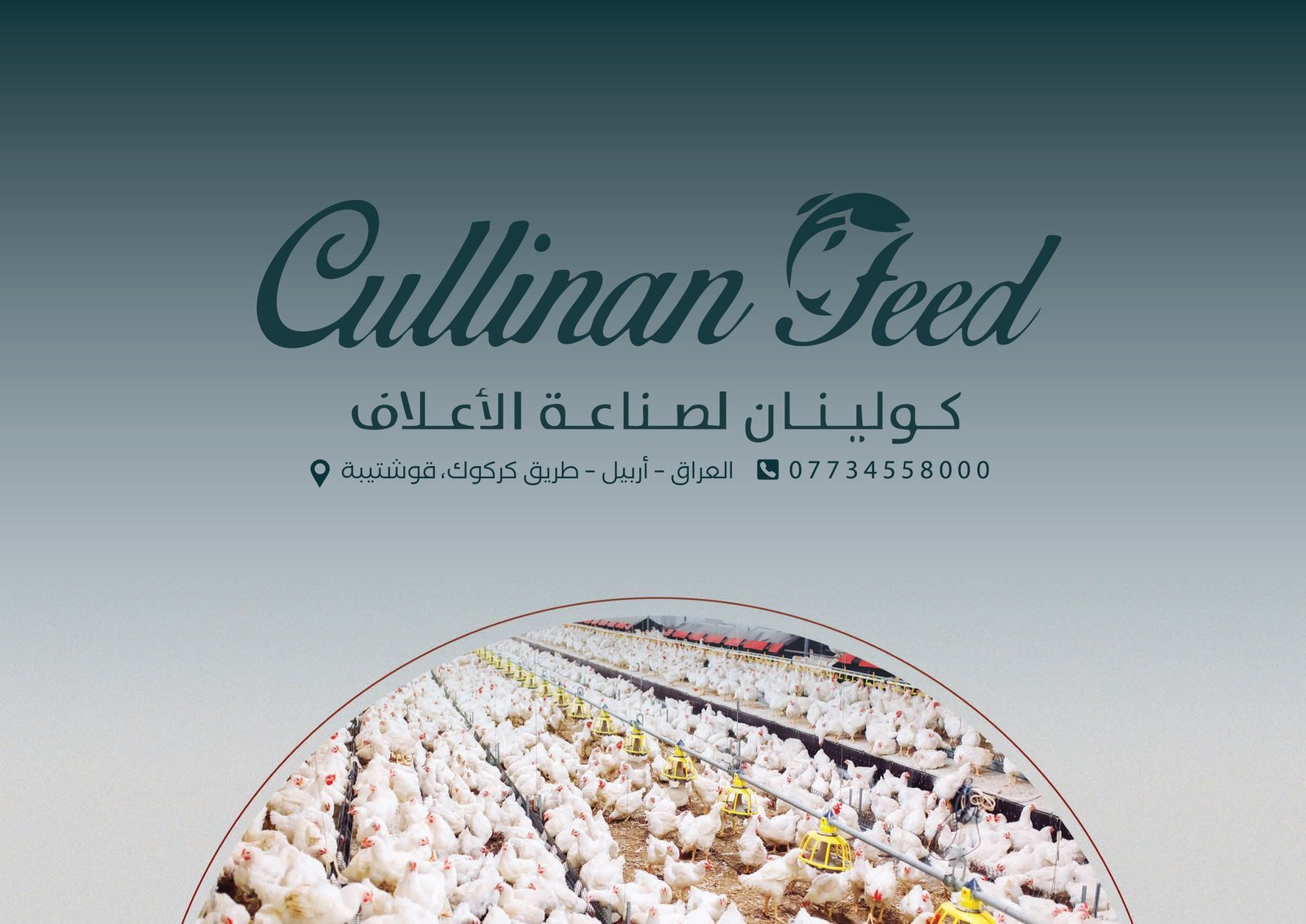 كولينان فيد - 3