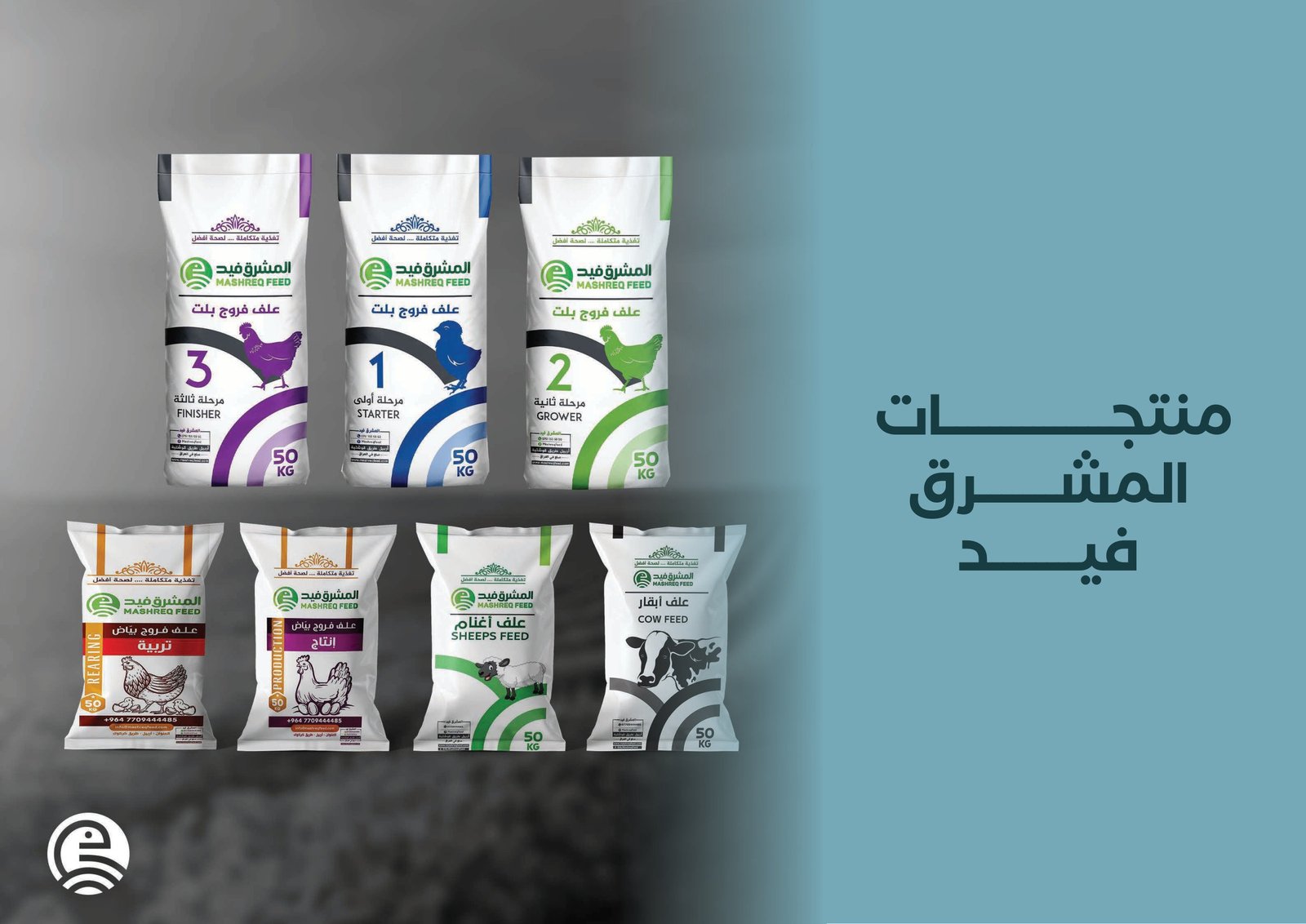 Mashreq Feed - 2